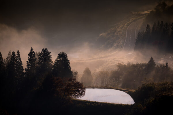 Misty Forest Pond Reflection Scenery