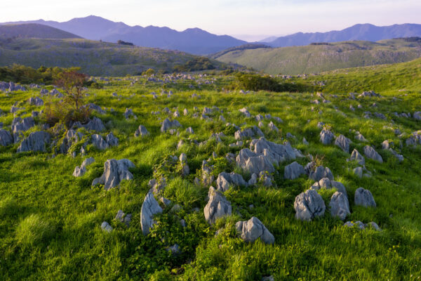 Akiyoshidais scenic mountain meadow, Japans natural wonder.