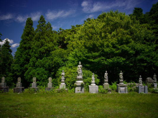 Serene woodland cemetery embracing eternal memories.