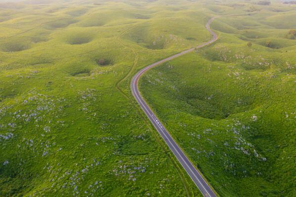 Akiyoshidais Undulating Green Hills with Winding Road