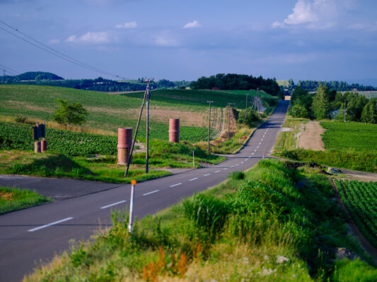 Meandering Country Road Landscape View