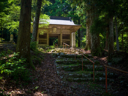 Tranquil Japanese wooden pavilion in lush forest