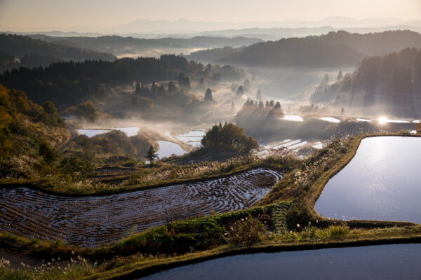 Misty Japanese terraced rice fields, scenic landscape.