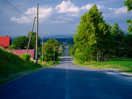 Tranquil country road, verdant trees, rolling hills.