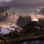 Tranquil misty Japanese rice terraces mountain landscape