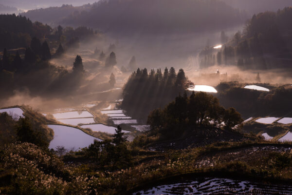 Tranquil misty Japanese rice terraces mountain landscape