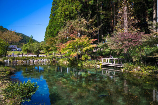 Peaceful Japanese garden oasis, reflecting natures beauty.