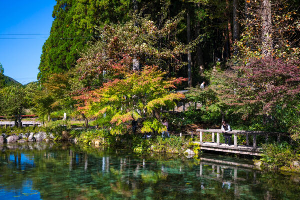 Tranquil Japanese garden pond reflecting vivid fall colors.