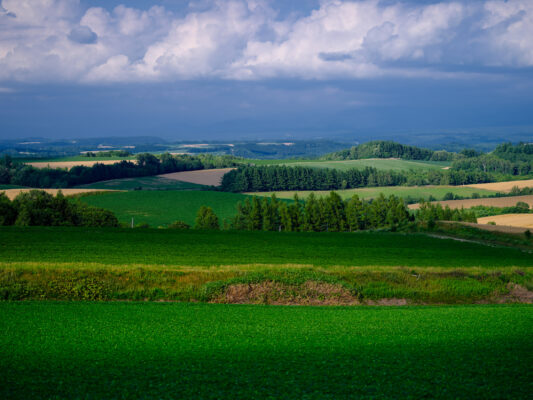 Tranquil country scene with winding road, lush meadows.