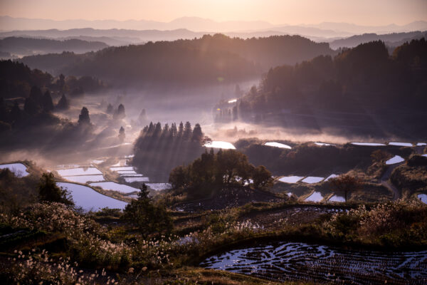 Tranquil golden sunset over misty rice terraces