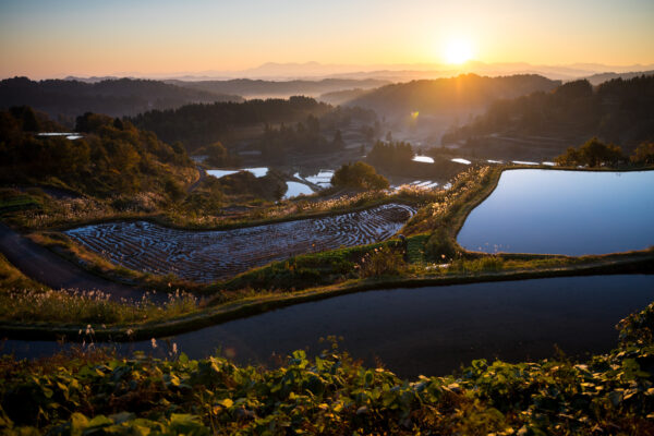 Iconic Japanese rice terraces sunset vista.