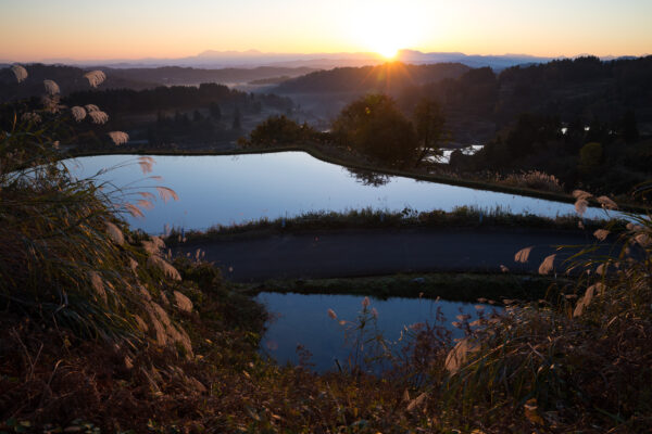 Golden sunset over serene rice terraces.