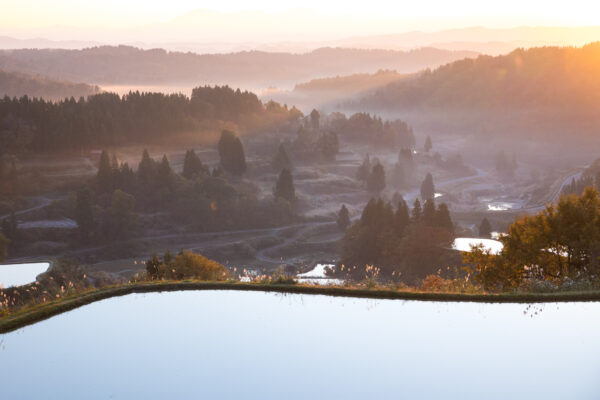 Golden sunset over serene Japanese rice terraces landscape.