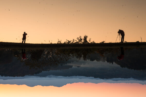 Stunning Japanese rice paddy sunset reflection.