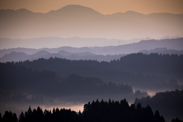 Misty mountain rice terraces glowing golden sunset.