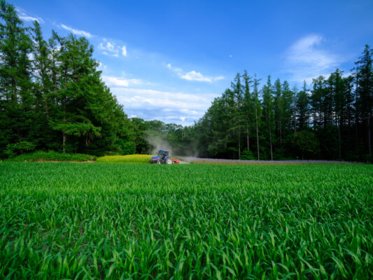 Picturesque rural landscape at Tomita Farms.