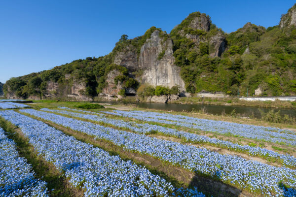 Yabakei