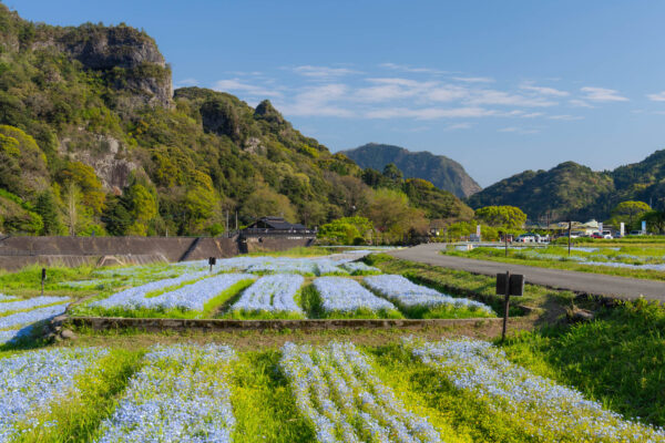 Yabakei