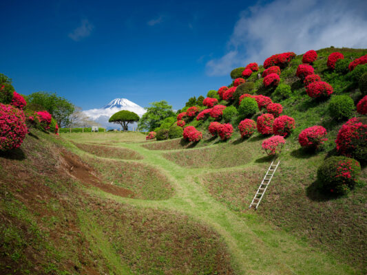 Yamanaka Castle Ruins