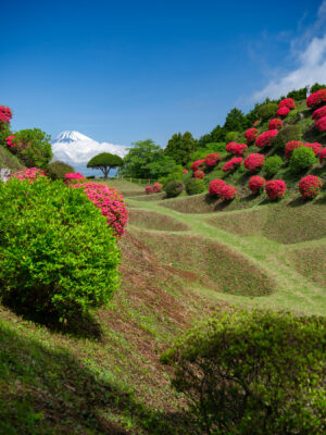 Yamanaka Castle Ruins