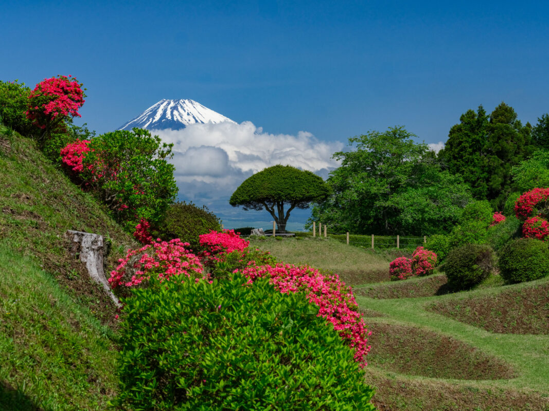 Yamanaka Castle Ruins