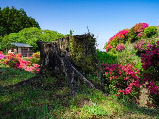 Yamanaka Castle Ruins