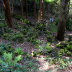 Moss-covered stone statues and markers at Kyu-Sento-ji forest temple ruins in Japan
