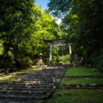 Mossy stone steps through forest leading to torii gate at Heisenji Hakusan Shrine, Japan.