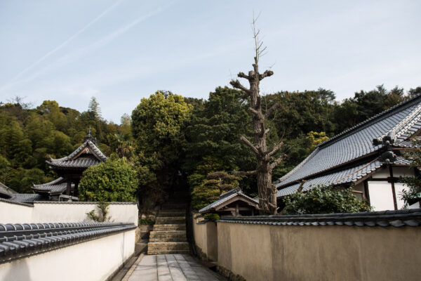 Naoshima