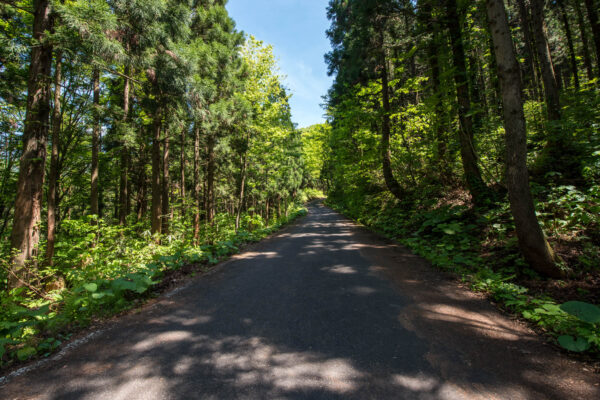 Mount Futatsumori