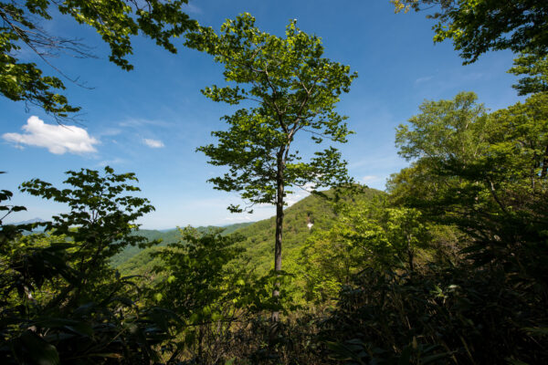Mount Futatsumori