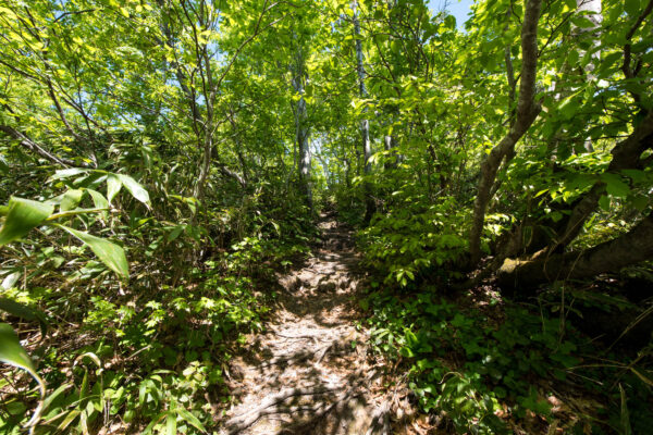 Mount Futatsumori