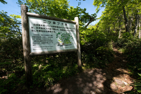 Mount Futatsumori