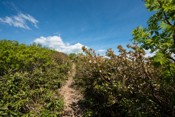 Mount Futatsumori