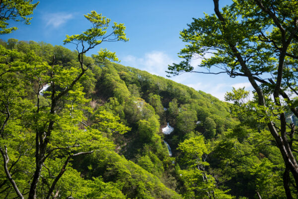 Mount Futatsumori