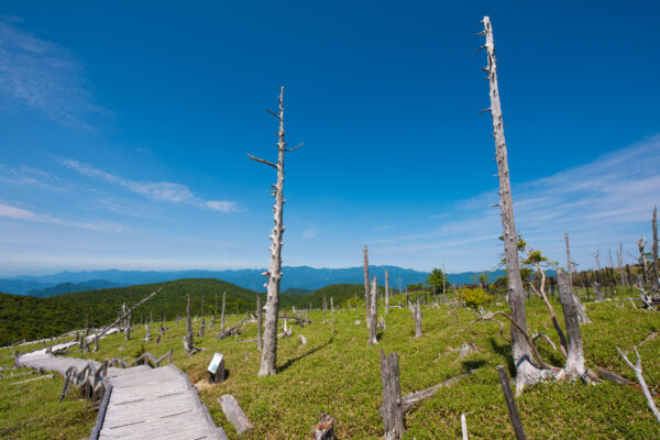 Mount Ōdaigahara