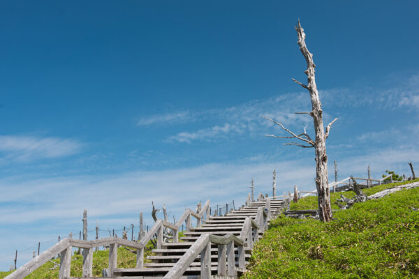 Mount Ōdaigahara