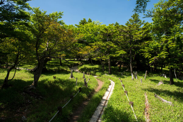 Mount Ōdaigahara
