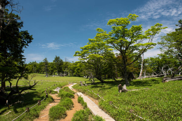 Mount Ōdaigahara