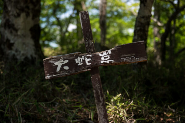Mount Ōdaigahara