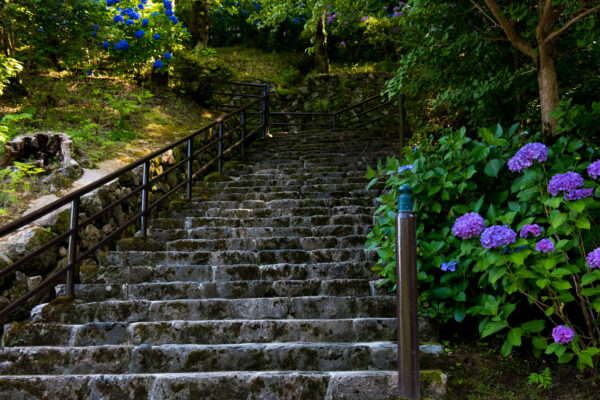 Hase-dera