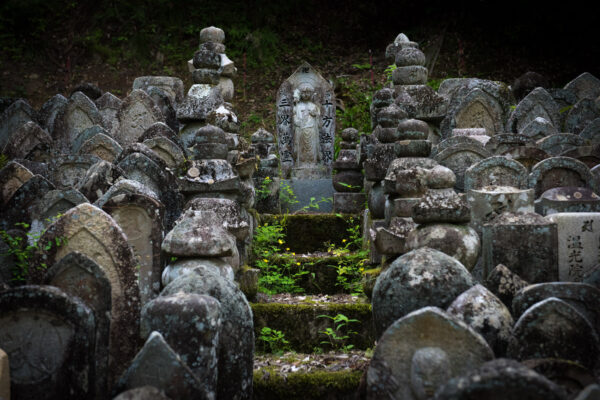 Hase-dera