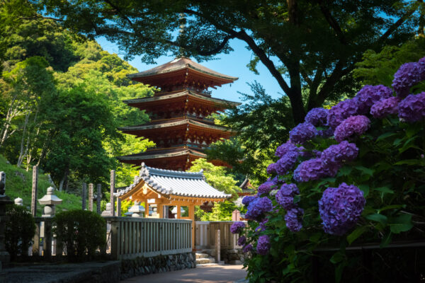 Hase-dera
