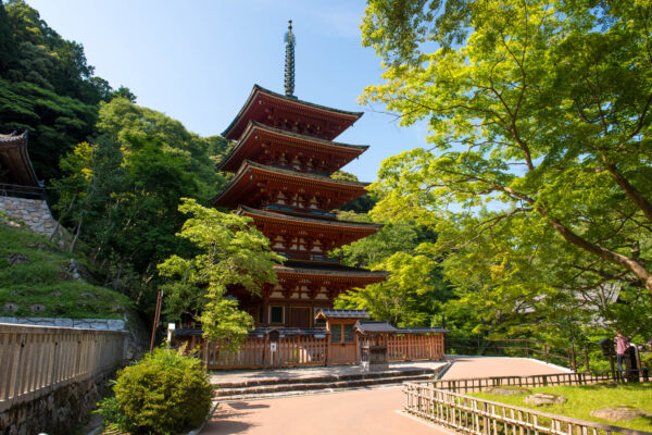 Hase-dera