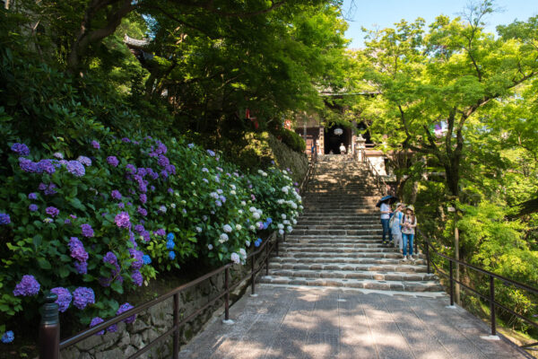 Hase-dera