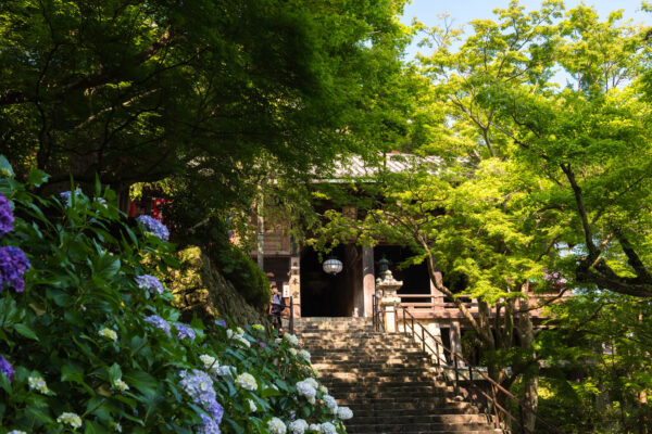 Hase-dera
