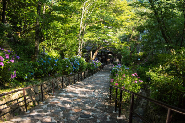 Hase-dera