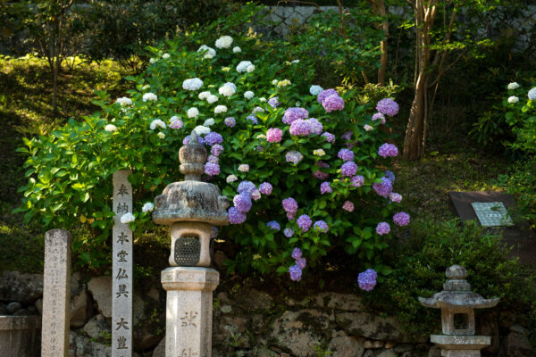 Hase-dera