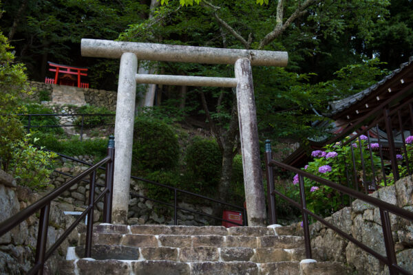 Hase-dera
