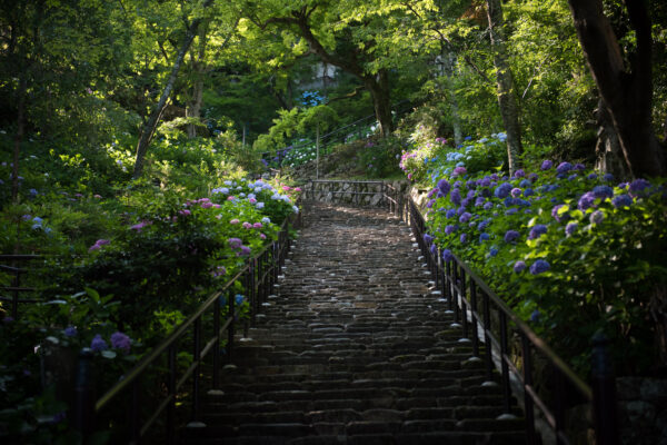 Hase-dera